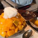 타코와빙수 | [내돈내산] 서울 신라 더 라이브러리 망고 빙수 후기_참치 타코, 쌍화차 후기도 있어용👐