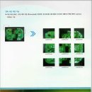 EZ소프트웨어 이미지