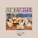 서울교류중심 | 서울인쇄센터 견학 후기 위치·교육과정·2026 인쇄디자인 전문가 과정·SPAF까지 총정리