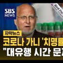 아뇨 도미니 여주 페이지에 삽입하지 못합니다 & H5N1 조류 인플루엔자 이미지