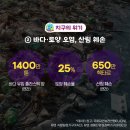 국제가든 이미지