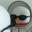 행복한 쭈꾸미 닭볶음탕 | 아무리 애를 쓰고 막아 보려 해도