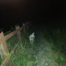 동해장모텔 이미지