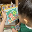 잉글리쉬트리영어홈스쿨 | 엄마표영어 잉글리시에그 유아전집으로 홈스쿨 4개월 후기