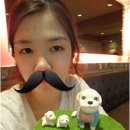 아지사랑 이미지