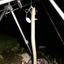 임진강장어가 이미지