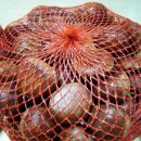 보늬숲밤농장 이미지