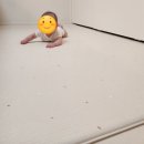 하하소프트 | 파크론 놀이방매트 추천, 안전한 라퓨어 소프트 매트 사용기
