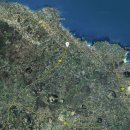 세화부동산공인중개사사무소 이미지