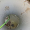 하수구막힘변기배관오수맨홀막힘고압세척청소 이미지
