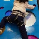 주식회사 다볼 이미지