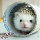 남현우동물병원 이미지