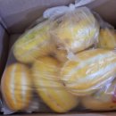 웅이네 농장 이미지