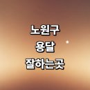 근처 용달이사 잘하는곳 추천 화물용달 전문업체 대여 견적 렌트 라보용달 소형 운송 후기 가격 다마스