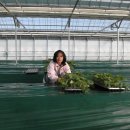 예지농장 이미지