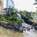 댕댕이네 이미지