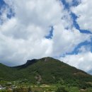 푸른펫살롱 이미지