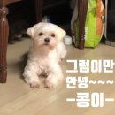 천돌축산 이미지