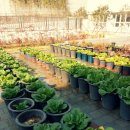 부산해마루학교 이미지