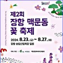 제1379차 군산 은파호 둘레길,장항 맥문동꽃축제, 240820 이미지