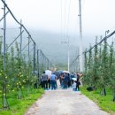 태산농장2 이미지