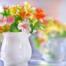 좋은인연 이미지