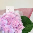 책+식물놀이터 이미지