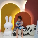 아이숲치과의원 | 대구 아이큰숲치과 어린이 치과 후기 불소도포 가격 추천 이유