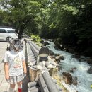 네이클린 네이버블로그