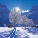 적설량측정 이미지