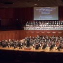 원코리아 이미지