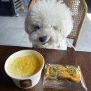 견생제과점 이미지