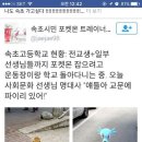 속초고등학교 이미지