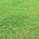 공공용 60 이미지