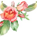 인두화 우드버닝 이미지