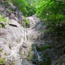 가마골농장 이미지