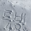토탈트래블 이미지