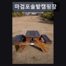 솔밭 | 충남 태안군 캠핑장 추천 마검포솔밭캠핑장 맑은 공기와 시원한 바람 가득