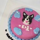 댕글로리 이미지