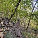 수정사 | 경산 성암산 등산코스 후기 수정사 → 정상(성암봉) → 능선 → 욱수골 하산