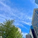 수담의원 | 여의도에서 맡은 가을 냄새🍁🤎