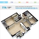 일동미라주 이미지