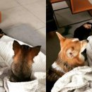 옹기종기 이미지