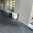 18. 완전히 행복한 나