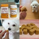 애견관절약 하행스 슈퍼조인트 강아지 관절 영양제 반려동물관절영양제
