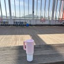 용인 기흥 낫소 풋살파크 기흥동탄점, 6대6 리빙파워센터 옥상 풋살장 개넓음