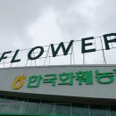 하나로플라워수족관