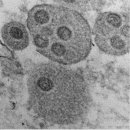 서울삼육오의원 이미지