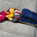 하빈남로 | [이사준비] 대구 헌옷수거업체 추천 ‘무해’ 소량 무게 처리 후기