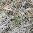 달래농장 이미지